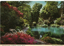 Load image into Gallery viewer, Devon Postcard - Pond and Gardens, Cockington, Torquay  AB849
