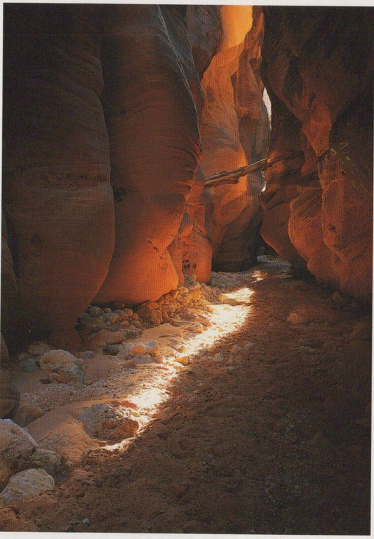 Geology Postcard - Slot Canyons in America RRR240