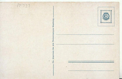 Monaco Postcard - Le Palais Du Prince Et La Tete De Chien, C.A.P. - TZ11307