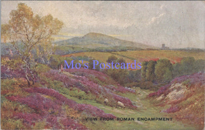 Norfolk Postcard? - View From Roman Encampment  DC1830