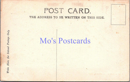 Cornwall Postcard - Newquay, The Headland, Cornish Coast   RS37375