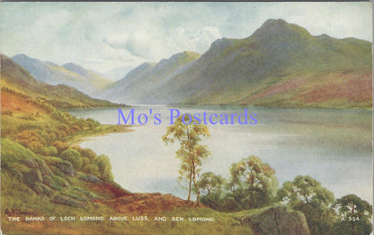 Scotland Postcard - The Banks of Loch Lomond, Artist E.H.Thompson  DC2231