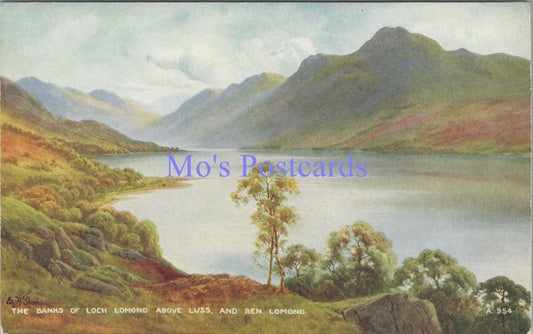 Scotland Postcard - The Banks of Loch Lomond, Artist E.H.Thompson  DC2231