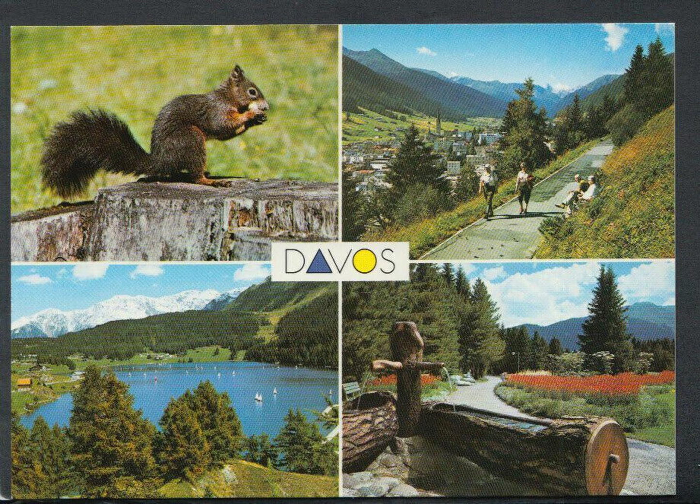 Switzerland Postcard - Davos 1560m, Hohenpromenade Gegen Tinzenhorn T4334
