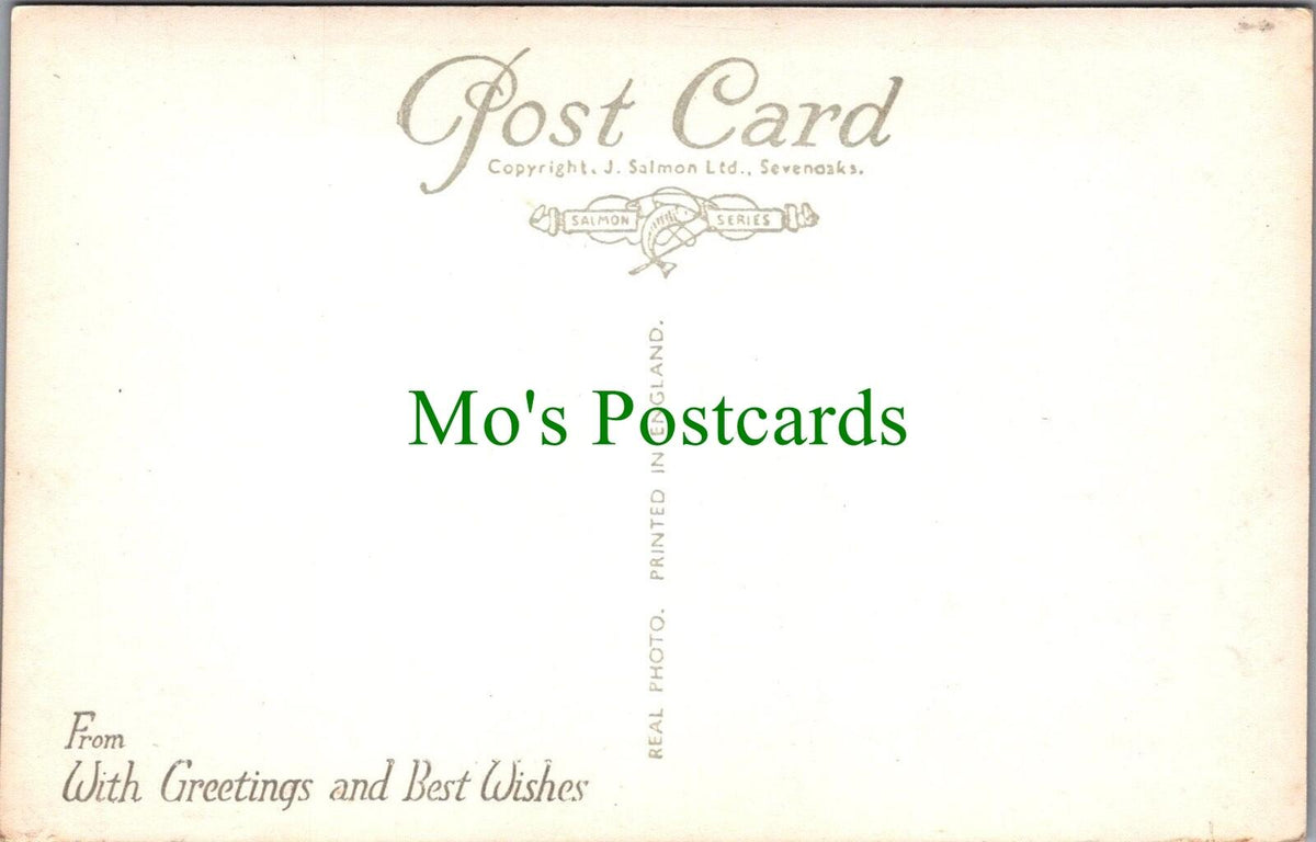 Derbyshire Postcard: Buxton, The Serpentine Walks RS36664