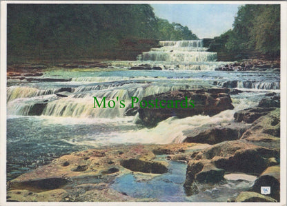 Yorkshire Postcard - Waterfalls - The Lower Falls, Aysgarth RRR1305