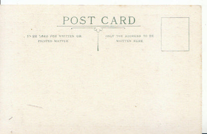 Hampshire Postcard - The Death of King Rufus by Metz  2646A