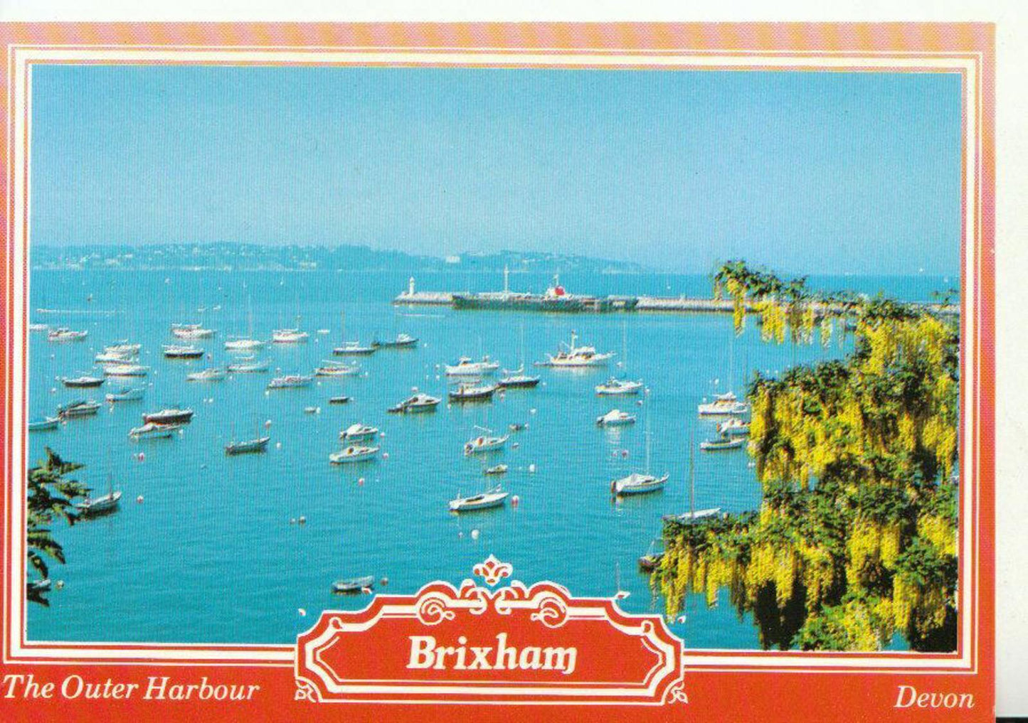 Devon Postcard - The Outer Harbour, Brixham 20776A