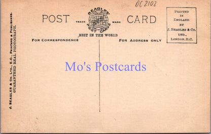 Royalty Postcard - H.R.H Princess Mary's Sons, Gerald & George Lascelles  DC2102