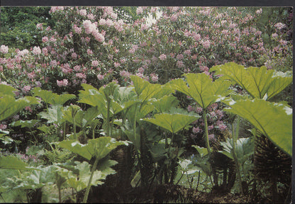 Surrey Postcard - Ramster Garden, Chiddingfold    WC154