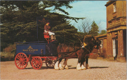 Somerset Postcard - Heavy Horses and State Express at Cricket St Thomas RS38615