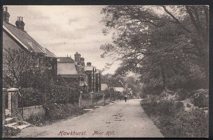 Kent Postcard: Moor Hill Hawkhurst Scenic Animated Street Scene  D486