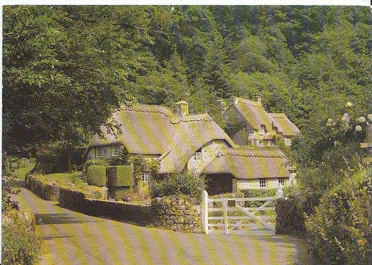Devon Postcard - Devon Cottages - Buckland-in-the-Moor  AB848