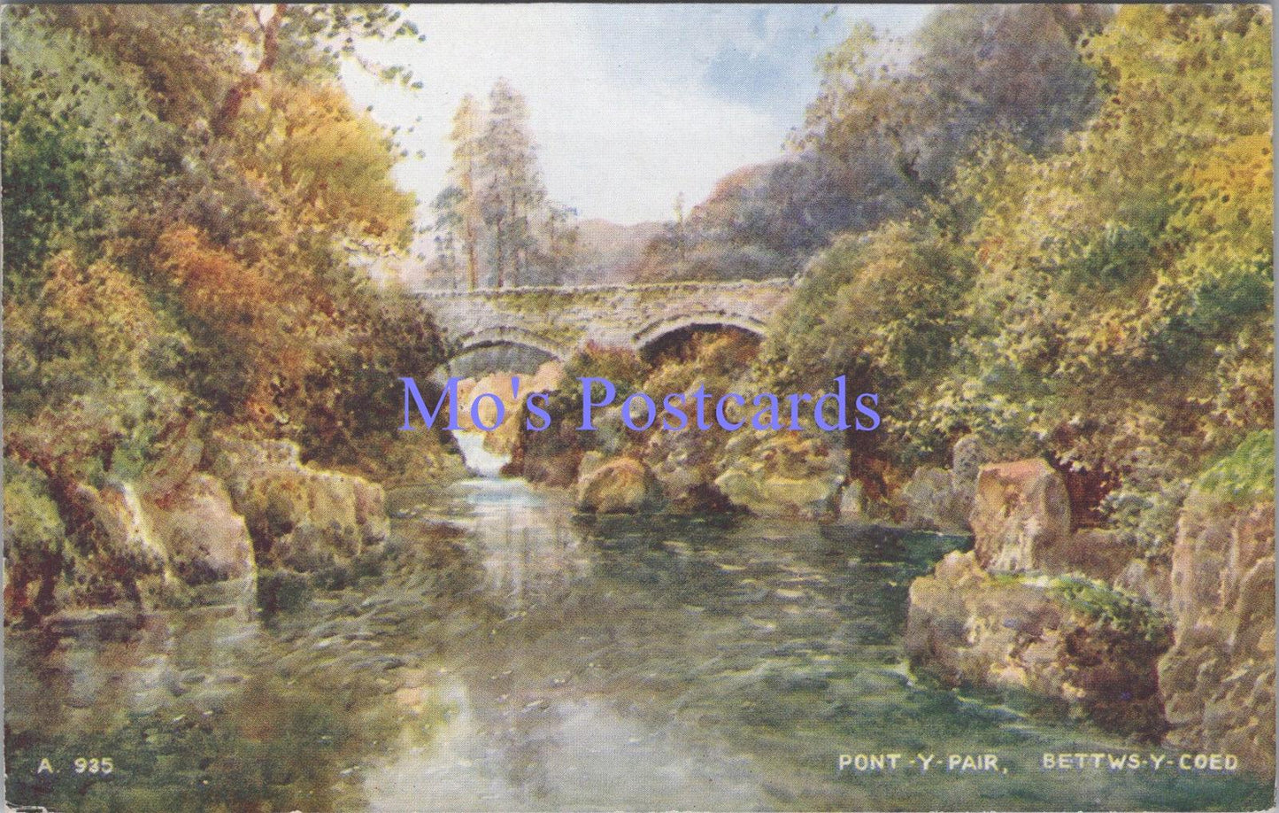 Wales Postcard - Pont-Y-Pair, Bettws-Y-Coed, Artist Brian Gerald DC2178