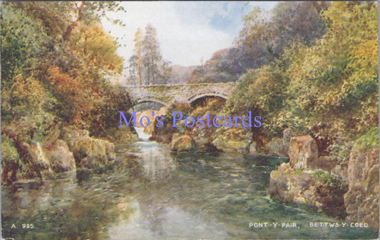 Wales Postcard - Pont-Y-Pair, Bettws-Y-Coed, Artist Brian Gerald DC2178