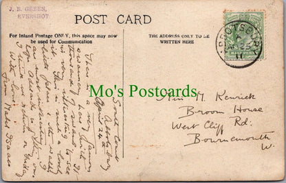 Dorset Postcard: Animals, Birds, Abbotsbury Swannery RS29713