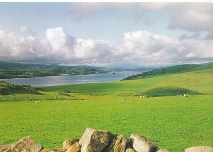 Scotland Postcard - West Loch, Tarbert from Corran, Kintyre, Argyll   AB274