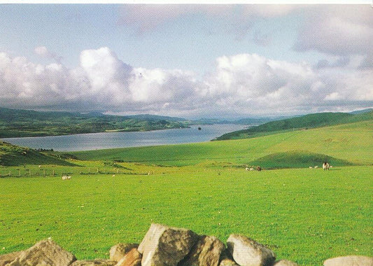 Scotland Postcard - West Loch, Tarbert from Corran, Kintyre, Argyll   AB274
