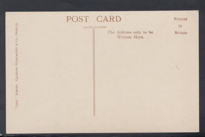 Devon Postcard - Mount of The Dart, Dartmouth    RS14156