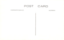 Load image into Gallery viewer, Isle of Wight Postcard - Old Newport, Hunny Hill and Bridge c1875 - XT33
