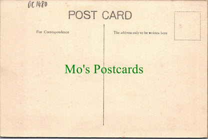 Shropshire Postcard - Bridgnorth, High Rock   DC1480
