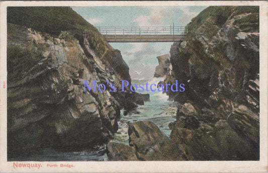 Cornwall Postcard - Newquay, Porth Bridge  DC1812