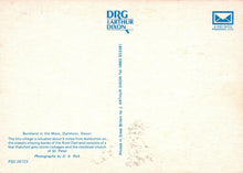 Load image into Gallery viewer, Devon Postcard - Buckland In The Moor, Dartmoor  RRR89
