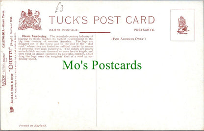 Industry Postcard - USA - California Giant Trees - Steam Lumbering  RS29358