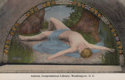 America Postcard - Adonis, Congressional Library, Washington D.C - XT42