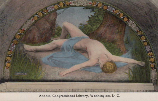 America Postcard - Adonis, Congressional Library, Washington D.C - XT42