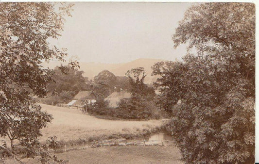 Vintage Rural River Landscape Sepia Real Photo RPPC Postcard c1910 - 2418A