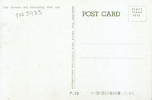 Load image into Gallery viewer, Thailand Postcard - Thai Farmers Are Harvesting Their Rice  9410A
