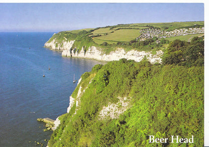 Devon Postcard - Beer Head and Cliffs  SM106