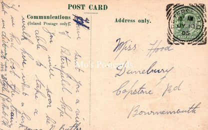 Hampshire Postcard: The Avenue, Petersfield  RS40579