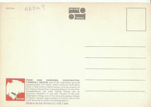 Load image into Gallery viewer, Devon Postcard - Pond and Gardens, Cockington, Torquay  AB849
