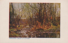 Load image into Gallery viewer, Berkshire Postcard - Nature - A Berkshire Brook in Autumn  RS24366
