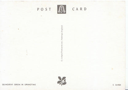Somerset Postcard - Selworthy Green in Springtime  SM120