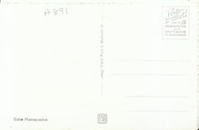 Load image into Gallery viewer, Austria Postcard - Ausserer Burgplatz, Wien   15667A
