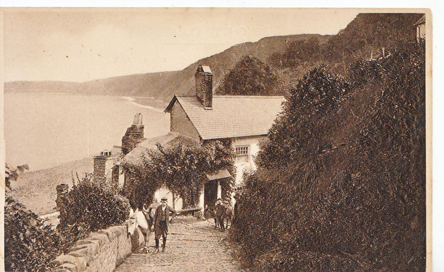 Devon Postcard - Clovelly, Rose Cottage   SL658