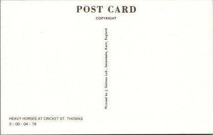 Somerset Postcard - Heavy Horses and State Express at Cricket St Thomas RS38615