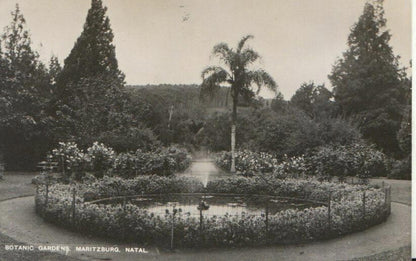 South Africa Postcard - Botanic Gardens, Maritzburg, Natal   ZZ2561