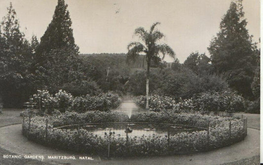 South Africa Postcard - Botanic Gardens, Maritzburg, Natal   ZZ2561
