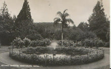 Load image into Gallery viewer, South Africa Postcard - Botanic Gardens, Maritzburg, Natal   ZZ2561
