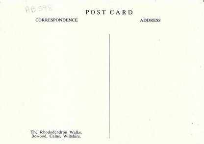 Wiltshire Postcard - The Rhododendron Walk, Bowood, Calne   AB598