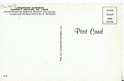 America Postcard - Longwood Gardens, Kennett Square, Pennsylvania   SL401