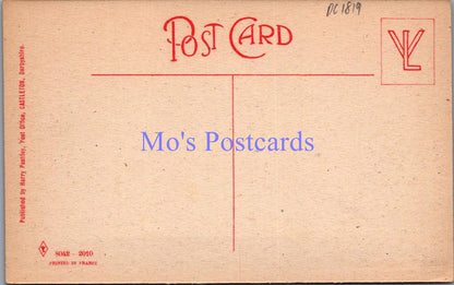 Derbyshire Postcard - Castleton, Mam Tor, Hair Pin Bend Road  DC1819