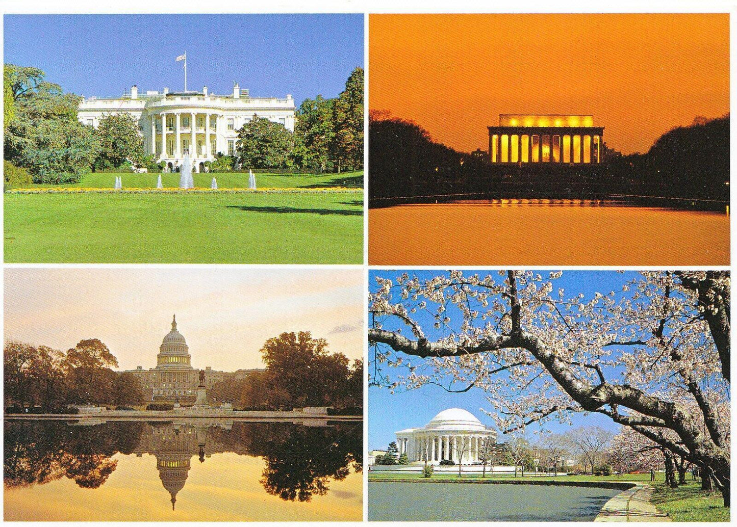 America Postcard - Views of Washington D.C.  SM371