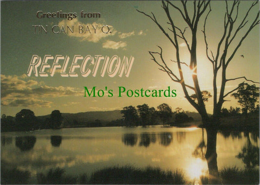 Australia Postcard: Sunset, Greetings From Tin Can Bay, Queensland  RR8836