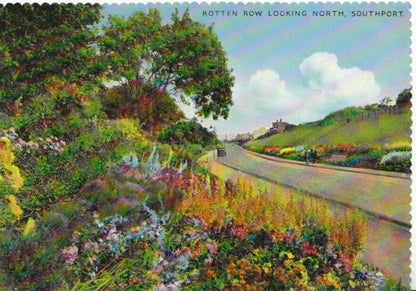 Lancashire Postcard: Rotten Row Looking North Southport Herbaceous Border 3553A