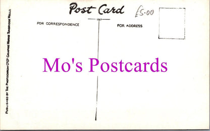 London Postcard - Selfridge’s Department Store, Coronation Decorations   RS39236